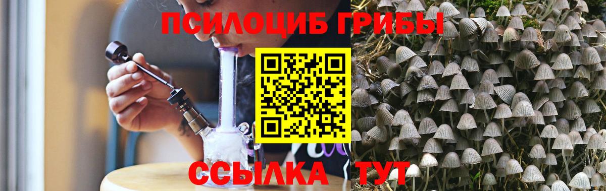 Псилоцибиновые грибы мухоморы Медногорск