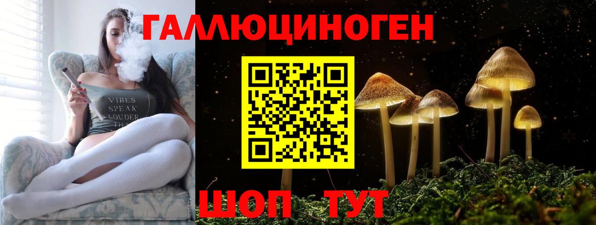 Медногорск  Псилоцибиновые грибы прущие грибы  Вход с VPN  Галлюциногенные грибы прущие грибы 